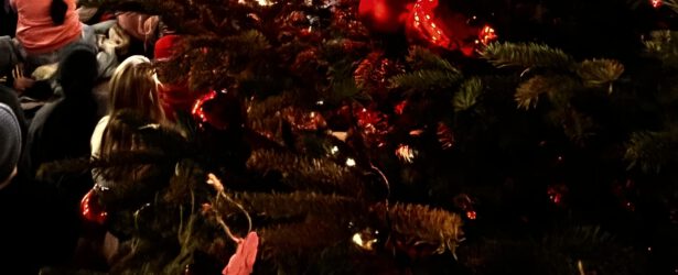 Winterzeit am Johannisland